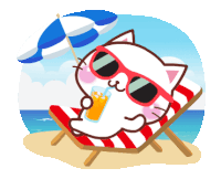a cute summer kitty